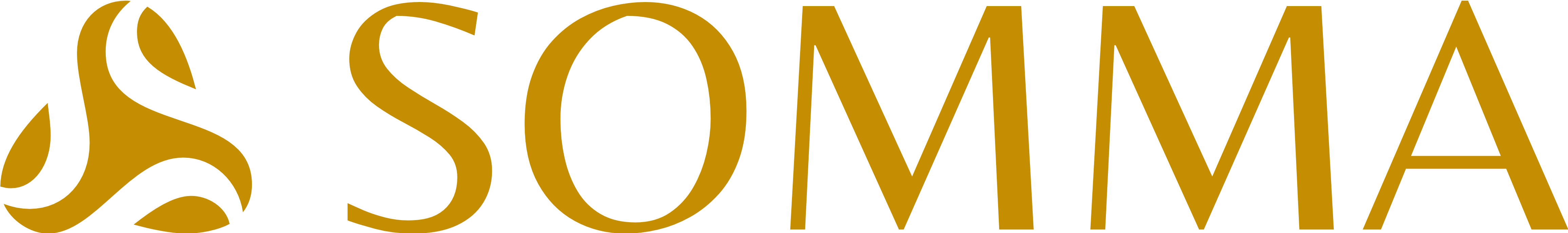 Somma logo horizontal gold